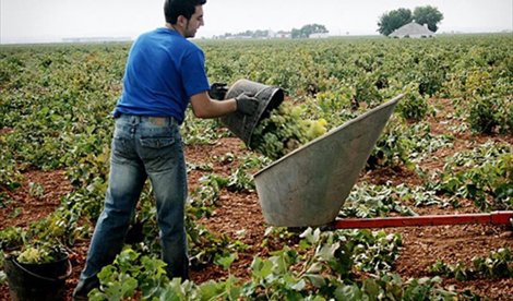 EpAgro - Agricultura