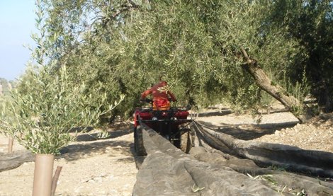 EpAgro - Agricultura