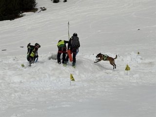 Equipo de rescate del GREIM con un perro adiestrado realizando un simulacro de rescate de un montañero enterrado por un alud simulado en Llanos del Hospital.