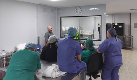 Es Andalucía - Cádiz