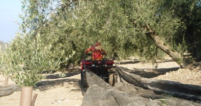 EpAgro - Agricultura