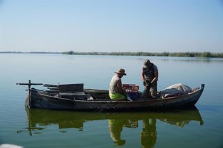 Archivo - Trabajos de pesca realizados en octubre del pasado año en l'Albufera para recopilar datos.