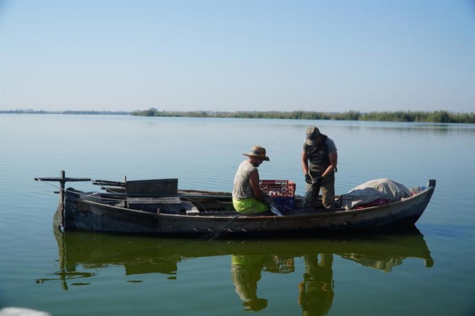 Archivo - Trabajos de pesca realizados en octubre del pasado año en l'Albufera para recopilar datos.