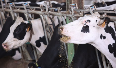 EpAgro - Agricultura