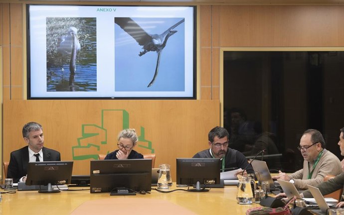 Comparecencia de la Asociación de Anguleros ante la Comisión de Pesca