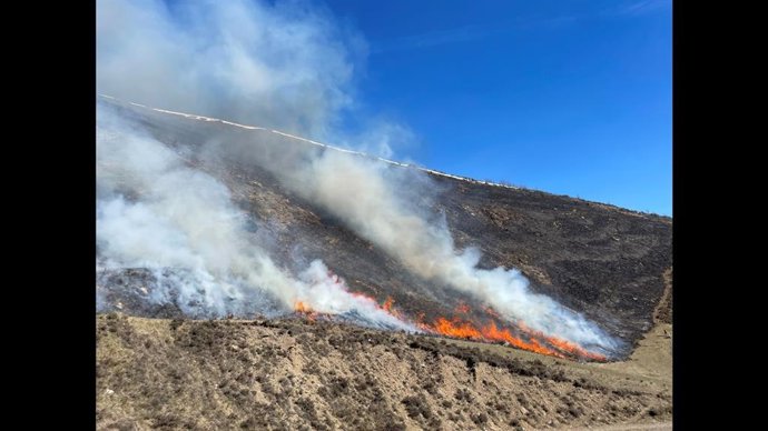 Archivo - Imagen de una quema controlada