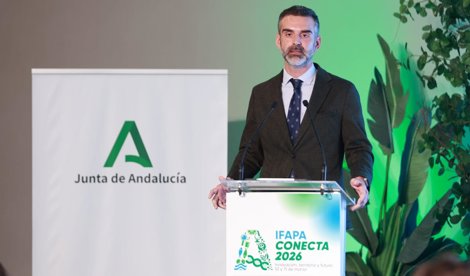 Es Andalucía - Sevilla