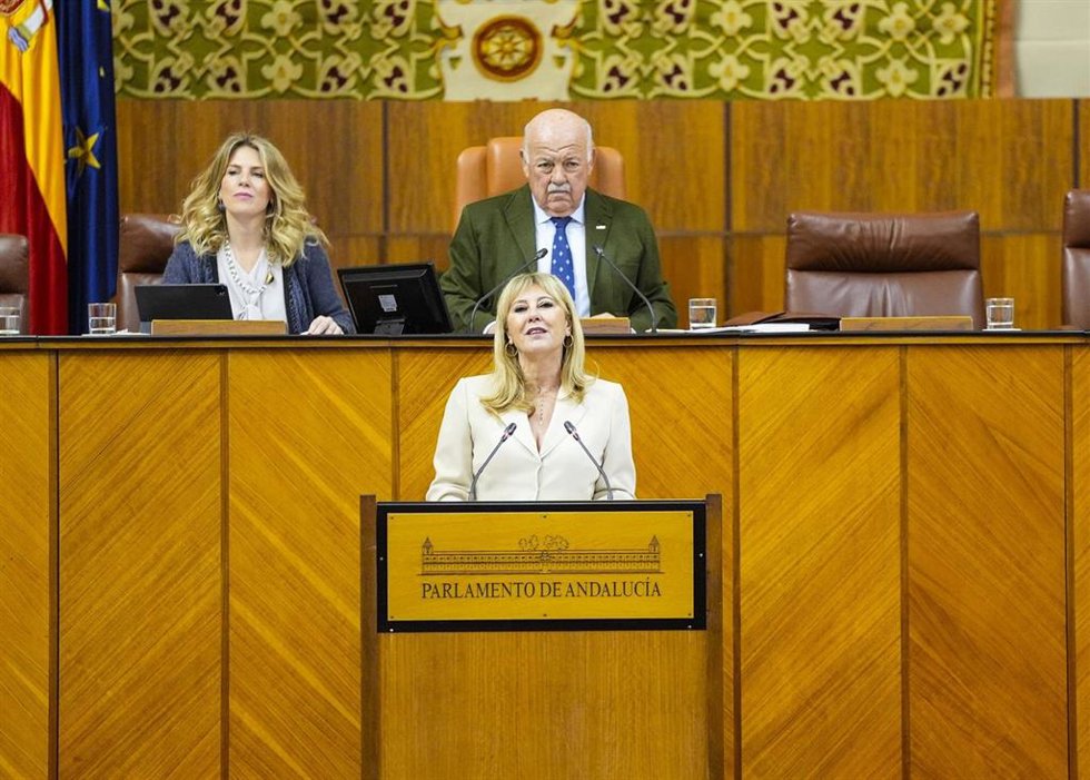 La consejera de Economía, Carolina España, este miércoles en el Pleno del Parlamento durante su intervención en la convalidación del Decreto-ley 1/2026 de medidas fiscales contra los daños de los temporales.