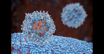 Nanopartículas que reprograman las defensas desde dentro: el experimento que apunta a una alternativa a las CAR-T