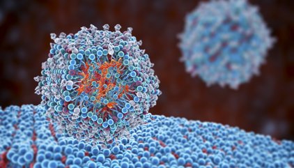 Nanopartículas que reprograman las defensas desde dentro: el experimento que apunta a una alternativa a las CAR-T