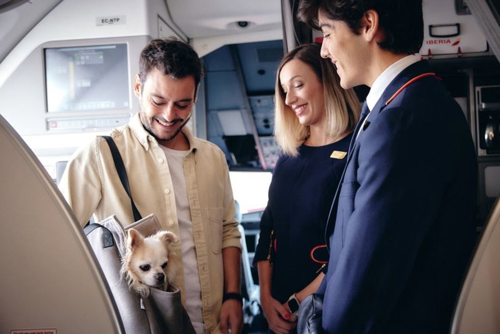 Iberia digitaliza el viaje con mascotas.