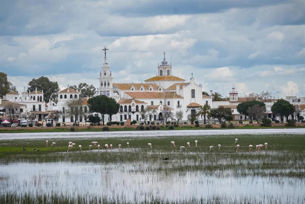 Vista de la marisma de El Rocío con numerosas aves.