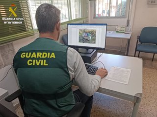 Archivo - Imagen de un agente de la Guardia Civil