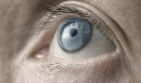 notibrasil sociedade