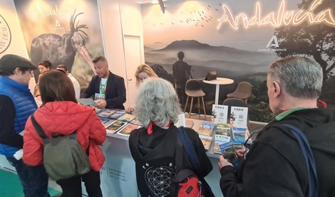 Turismo Andaluz