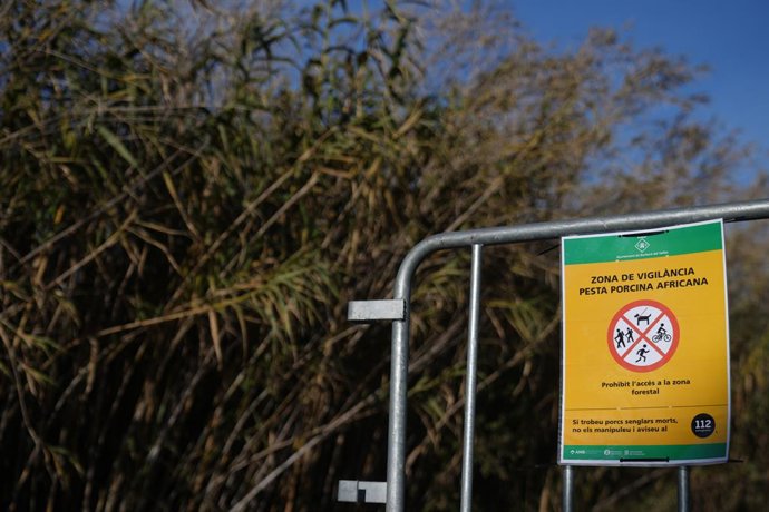Archivo - Tanques per barrar el pas a Collserola