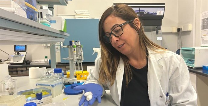 Una investigación de la UVa obtiene unas "tiritas" de la fibroína del gusano de seda que ayudan a reparar la córnea.