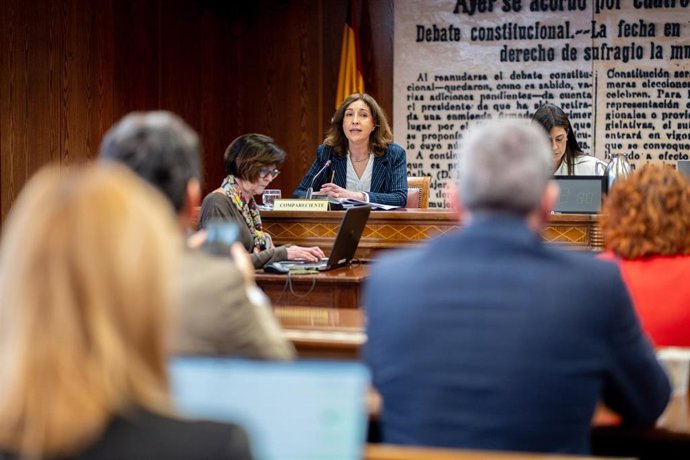 La directora de comunicación de  la Organización de Consumidores y Usuarios (OCU), Ileana Izverniceanu de la Iglesia, comparece ante la Comisión de Investigación sobre el apagón, en el Senado, a 12 de marzo de 2026, en Madrid (España). 