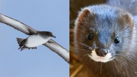 Foto: FUNDACIÓN ENDESA