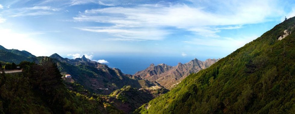 Archivo - Tenerife estrena un visor interactivo para seguir en tiempo real el control de la flora invasora