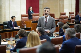 El consejero de Agricultura, Pesca, Agua y Desarrollo Rural de la Junta de Andalucía, Ramón Fernández-Pacheco, interviene desde su escaño en la segunda jornada del Pleno del Parlamento andaluz. 