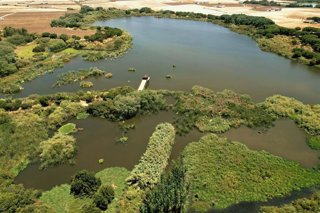 La Laguna Primera de Palos, en la provinia de Huelva, es uno de los proyectos de protección y conservación más destacados de la Fundación Moeve.
