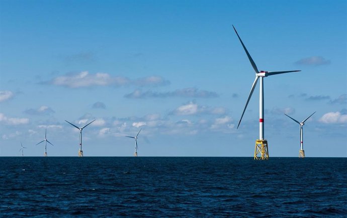Archivo - Parque eólico marino.