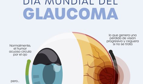 notibrasil sociedade