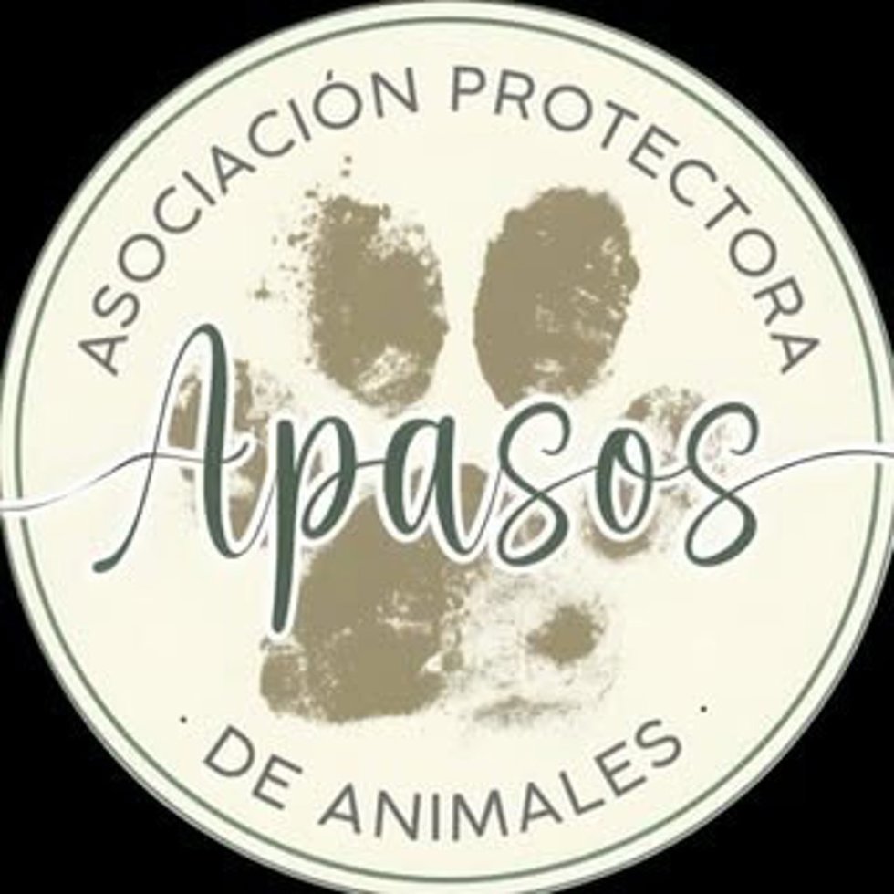Logo de Apasos