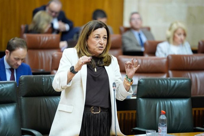 La consejera de Desarrollo Educativo y Formación Profesional de la Junta de Andalucía, María del Carmen Castillo, en sesión parlamentaria.