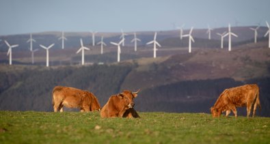 EpAgro - Agricultura
