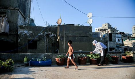 notibrasil política