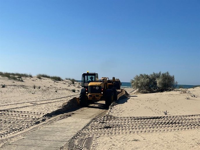 Trabajos en los accesos de playas de Punta Umrbía (Huelva).