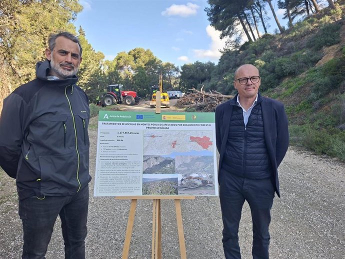 La Junta de Andalucía destina 1,1 millones a la mejora de los montes públicos de Málaga afectados por el decaimiento forestal
