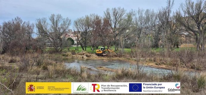 Comienzan los trabajos para reforzar la protección del ecosistema del río Cidacos de Calahorra