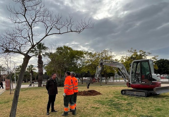 Plantación de árboles en Catarroja