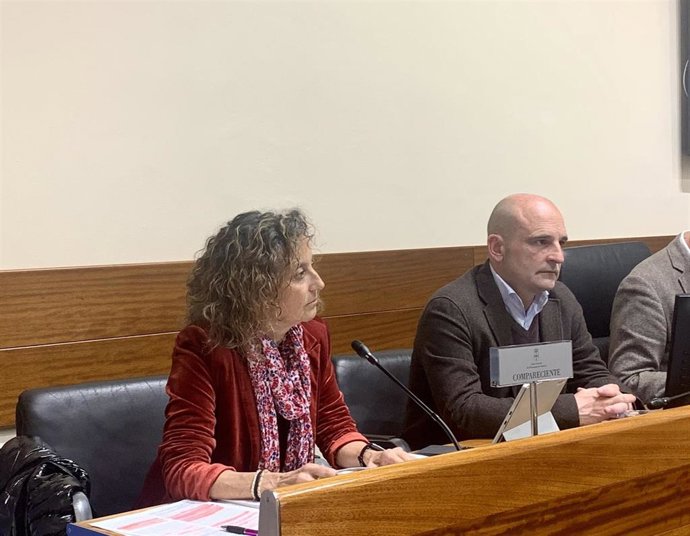 La consejera de Educación, Eva Ledo, durante la comisión parlamentaria de esta tarde.