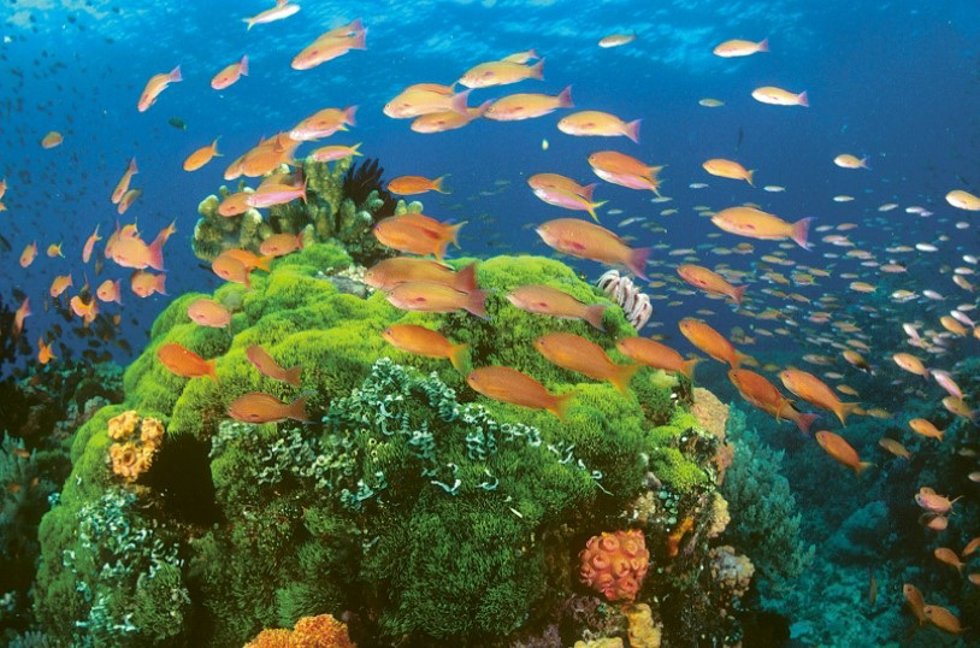 Primavera en Filipinas: naturaleza y aventura más allá de sus playas