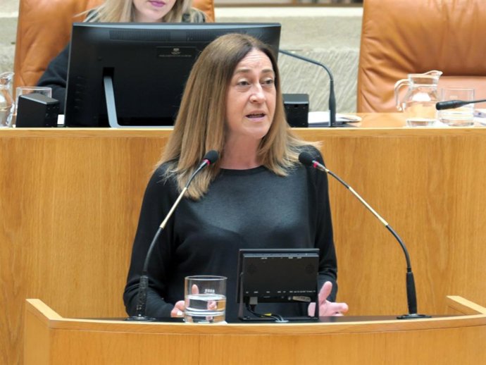 La diputada 'popular' Begoña Martínez Arregui