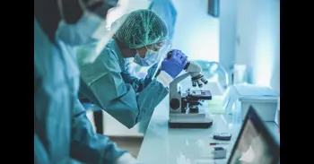 Un estudio del CNIO muestra que células inmunitarias del cerebro pueden influir en la pubertad y la fertilidad