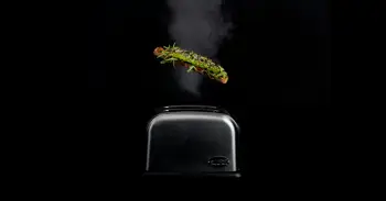 El método fácil para limpiar el interior de la tostadora y dejarla como nueva