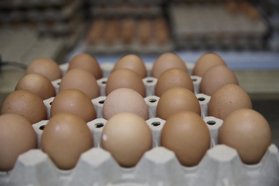 Archivo - Huevos, a 20 de noviembre de 2025, Madrid (España). El precio de los huevos en España se ha disparado un 22,5% interanual en octubre según los datos confirmados por el INE, y su precio se incrementó un 5,1% en valores mensuales, acumulando un 
