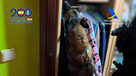 Foto: POLICÍA NACIONAL