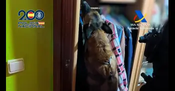 Desarticulada una organización criminal de falsificación de documentos para la regularización de migrantes