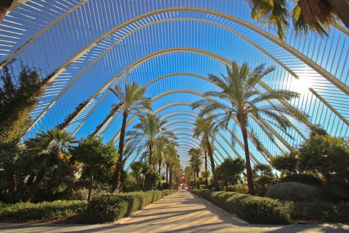 Valencia