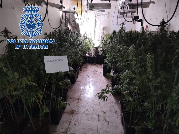 Archivo - Vivienda habilitada para el cultivo de marihuana, en imagen de archivo