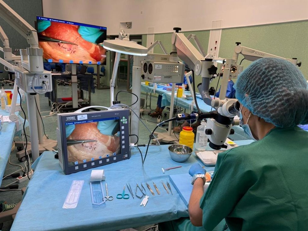 Archivo - Práctica en el Centro de Simulación Clínica Avanzada de Iavante.