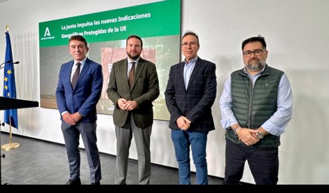 Es Andalucía - Córdoba