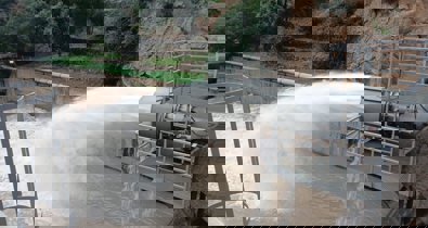 Es Andalucía - Sevilla