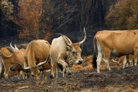 Foto: Carlos Castro - Europa Press - Archivo
